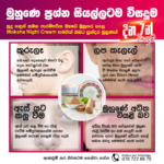 Moksha Face Cream - White Sandalwood Night Cream - Image 3